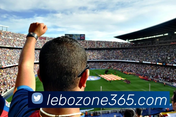 乐博体育平台生态图